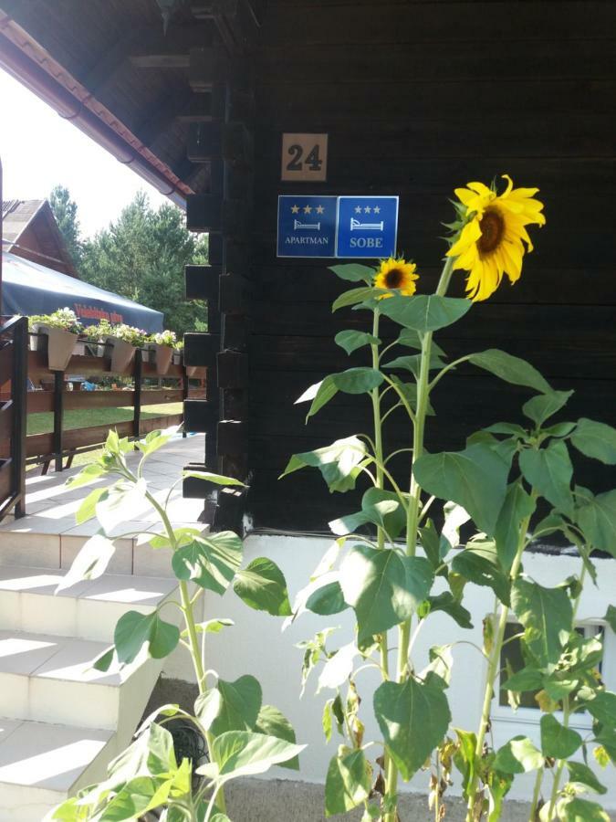 Apartments Family Trauber Korenica Zewnętrze zdjęcie